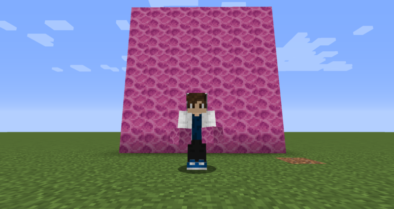 マイクラ Je ノウサンゴブロックの入手方法と使い道を解説 あかまつんのマインクラフト あかまつんのマインクラフト