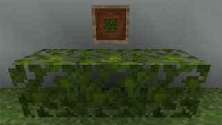 マイクラ Je 薄灰色のろうそくの入手方法と使い道を解説 あかまつんのマインクラフト あかまつんのマインクラフト