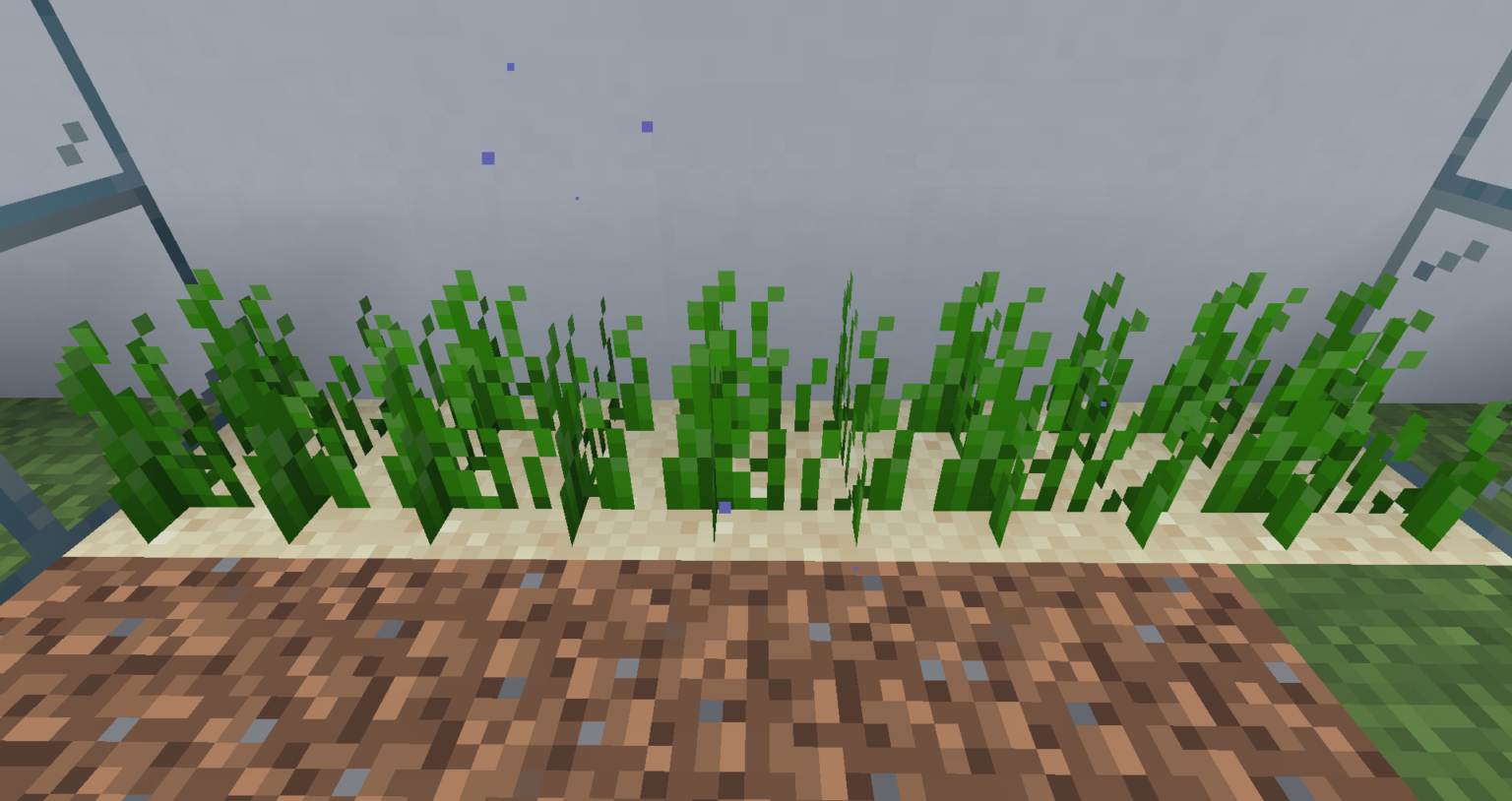 マイクラ Je 海草の入手方法と使い道を解説 あかまつんのマインクラフト あかまつんのマインクラフト