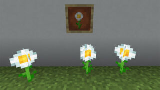 マイクラ Je シダの入手方法と使い道を解説 あかまつんのマインクラフト あかまつんのマインクラフト