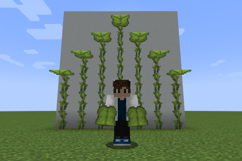 マイクラ Je 大きなドリップリーフの入手方法と3つの使い道を解説 あかまつんのマインクラフト あかまつんのマインクラフト マイクラ Je 大きなドリップリーフの入手方法と3つの使い道を解説 あかまつんのマインクラフト あかまつんのマインクラフト