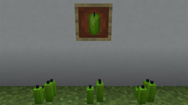 マイクラ Je 黄緑色のろうそくの入手方法と使い道を解説 あかまつんのマインクラフト あかまつんのマインクラフト