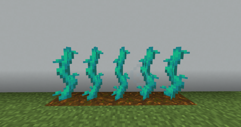 マイクラ Je ねじれツタの入手方法と使い道を解説 あかまつんのマインクラフト あかまつんのマインクラフト