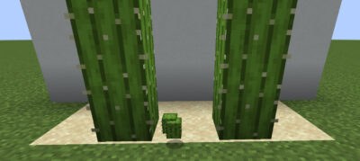 マイクラ Je サボテンの入手方法と3つの使い道を解説 あかまつんのマインクラフト あかまつんのマインクラフト