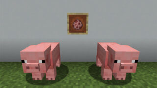 【マイクラ(JE)】ブタのスポーンエッグの入手方法と使い道を解説（あかまつんのマインクラフト）